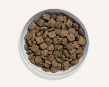 Canagan Grass-Fed Lamb Dry Dog Food - 12kg